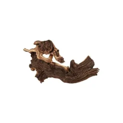 ZOLUX Racine Maupani en bois naturel marron taille L 20,5x12x9 cm