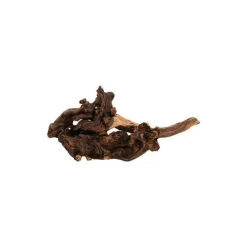 ZOLUX Racine Maupani en bois naturel marron taille XL 45x23x25 cm