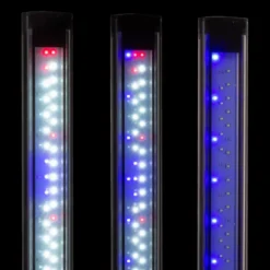 BLUE CORAL Rampe LED aquarium eau douce, duo Sunny & Plant, noir - AQUAEL Leddy Slim 2.0, 16 W