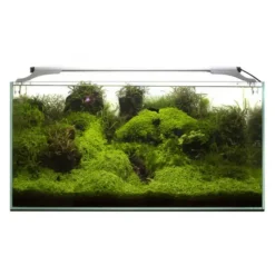 BLUE CORAL Rampe LED pour aquarium, jour & nuit, blanche 10W - AQUAEL Leddy Slim Sunny 2.0