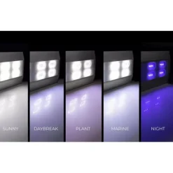 BLUE CORAL Rampe LED ultra slim pour aquarium, AQUAEL modèle Ultra Slim 60 - 60 cm