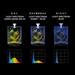 BLUE CORAL Rampe LED 4,8W pour aquarium d'eau douce noir - AQUAEL LEDDY Smart 2 Sunny Day & Night 2.0