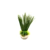 LABEO Récif vert en plastique petit modèle 13 cm