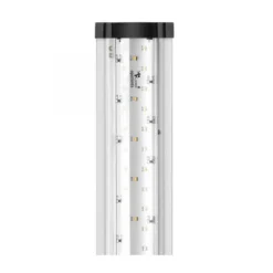 BLUE CORAL Réglette de remplacement EasyLED 2.0 - 489 LED, sans alu - AQUATLANTIS - modèle 100 - 84.1 cm