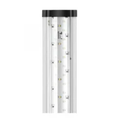 BLUE CORAL Réglette LED de remplacement 2.0, 978 LED, AQUATLANTIS - Modèle Fusion 2M - 88W - 167.8cm