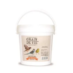 GRAIN DE VIE Sable anisé blanc antibactérien pour oiseaux - 1,8 kg