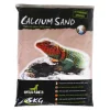 REPTILE PLANET Sable de calcium pour terrarium coloris rouge Kalahari Red - 5 kg