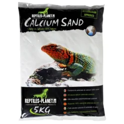 REPTILE PLANET Sable de calcium pour terrarium coloris blanc Sechura Natural - 5 kg