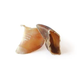 BUBIMEX Sabot de veau en vrac - prix à la pièce
