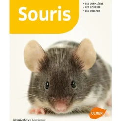 ÉDITIONS EUGEN ULMER Souris 64 pages