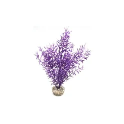 LABEO Sprengeri haut violet en plastique 26 cm
