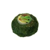 REPTILE PLANET Support pour Vita Jelly coloris vert Repti Moss Ball - 7,5 x 7,5 x 5 cm