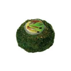 REPTILE PLANET Support pour Vita Jelly coloris vert Repti Moss Ball - 7,5 x 7,5 x 5 cm