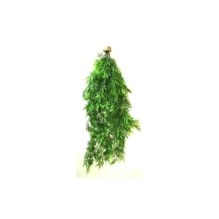 LABEO Suspension algue verte en plastique 80 cm