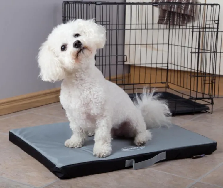 SCRUFFS Tapis imperméable pour chien gris Expédition – Taille M