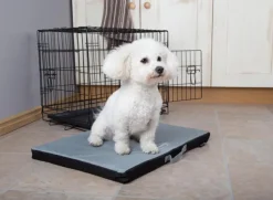 SCRUFFS Tapis imperméable pour chien gris Expédition – Taille M