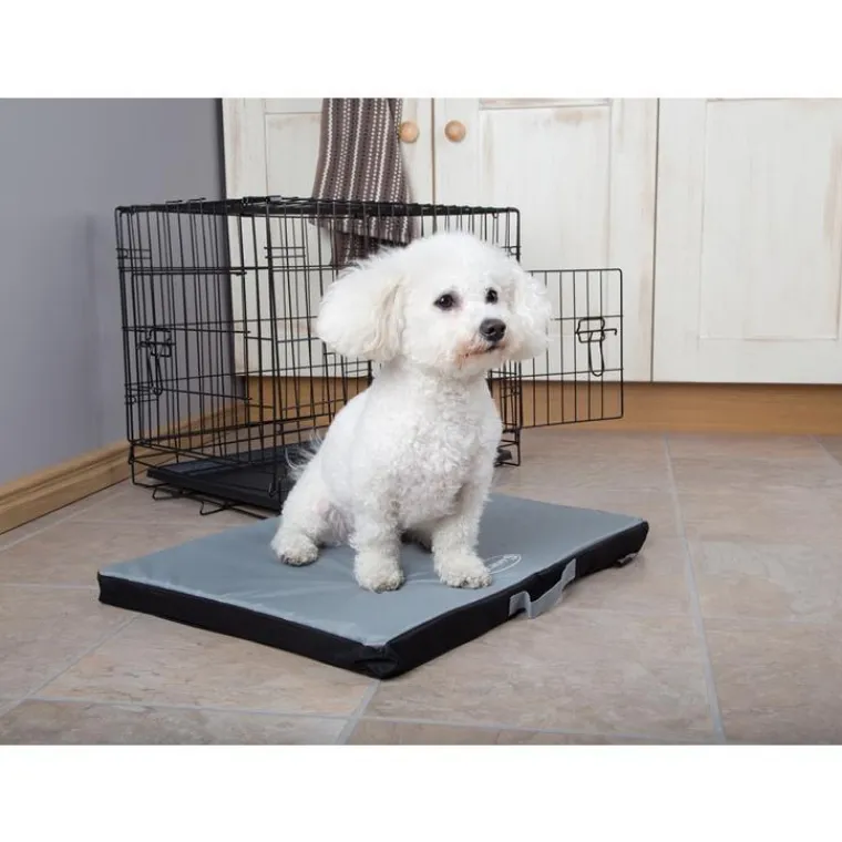 SCRUFFS Tapis imperméable pour chien gris Expédition – Taille XL