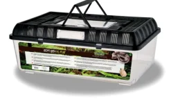 REPTILE PLANET Terrarium en plastique coloris noir Repti Box Flat - Taille XL 42 x 26 x 16 cm