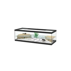 AQUATLANTIS Terrarium noir avec 2 plateformes et pompe TC500 Tortum 100