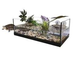 AQUAVIE Terrarium pour tortue d'eau aquatique coloris blanc kit aqua 80 – 80 x 35 x 25 cm