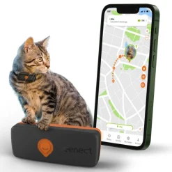 WEENECT Traceur GPS pour chat coloris noir