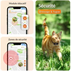 WEENECT Traceur GPS pour chat coloris noir