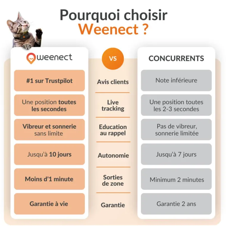 WEENECT Traceur GPS pour chat coloris noir