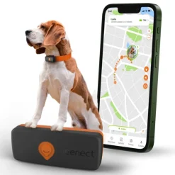WEENECT Traceur GPS pour chien coloris noir