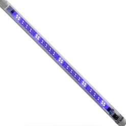 BLUE CORAL Tube LED actinic 2.0, 10 watts, AQUAEL Leddy retrofit - 41.5 cm