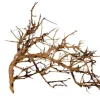 AQUAVIE Vigne pour aquarium ou terrarium coloris marron Broussa - 10 à 30 cm