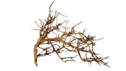 AQUAVIE Vigne pour aquarium ou terrarium coloris marron Broussa - 10 à 30 cm